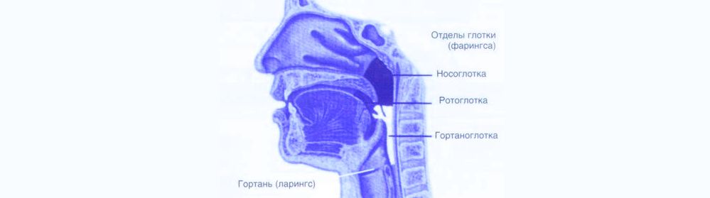 Инородные тела гортаноглотки